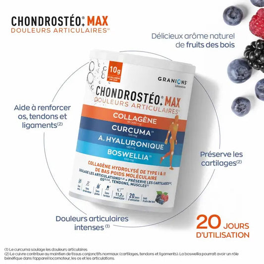 Granions Chondrostéo Max Wild Berry Flavor 226 g