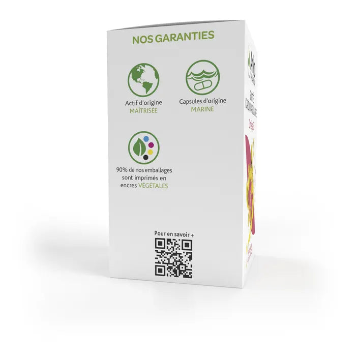 Arkopharma Arkogel Omega 3 vascu 180 gélules
