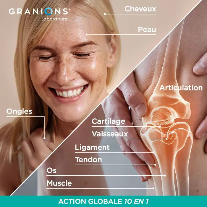 Granions collagène multi-types I-II-III-V-X 275 g